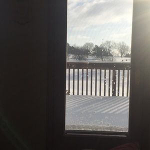 Meet your Posher, Shelly